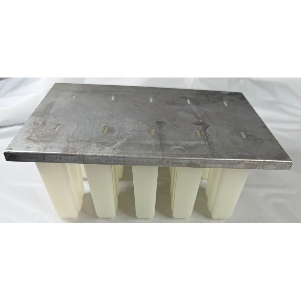 Commercial 10 Slot Stainless Steel Popsicle Mold with Lid and Plastic Inserts